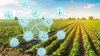 Arable landscape with different symbols of digital sensors 