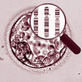 cover Monitoring the status quo and developments of pre-implantation genetic diagnosis in Germany