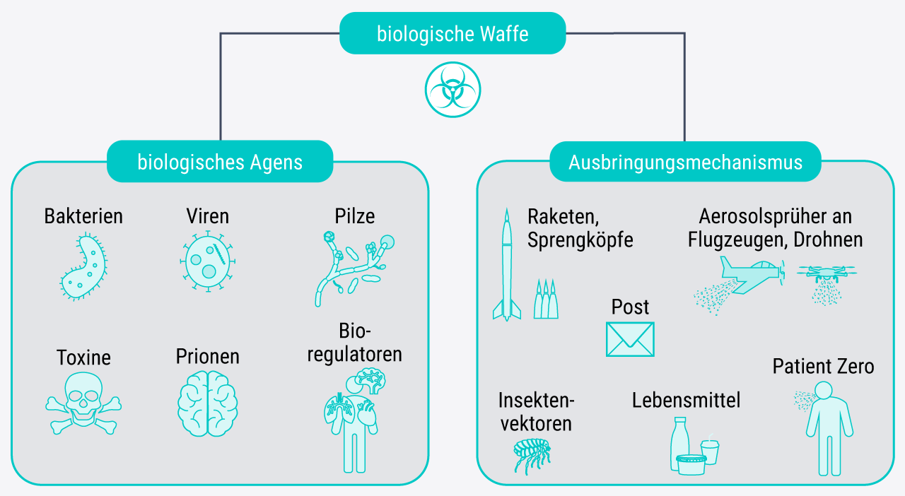 Die schematische Abbildung zeigt, dass biologische Waffen aus einem biologischen Agens und einem Ausbringungsmechanismus zusammengesetzt sind. Weiterhin sind jeweils Beispiele f&uuml;r m&ouml;gliche Agenzien und Ausbringungsmechanismen dargestellt. Zu den biologischen Agenzien z&auml;hlen Bakterien, Viren, Pilze, Toxine, Prionen und Bioregulatoren. Als Beispiele f&uuml;r Ausbringungsmechanismen werden Raketen und Sprengk&ouml;pfe, Aerosolspr&uuml;her an Flugzeugen und Drohnen, Insektenvektoren, der Postweg bzw. Briefe, Lebensmittel und ein selbstinfizierter Attent&auml;ter (Patient Zero) gezeigt.