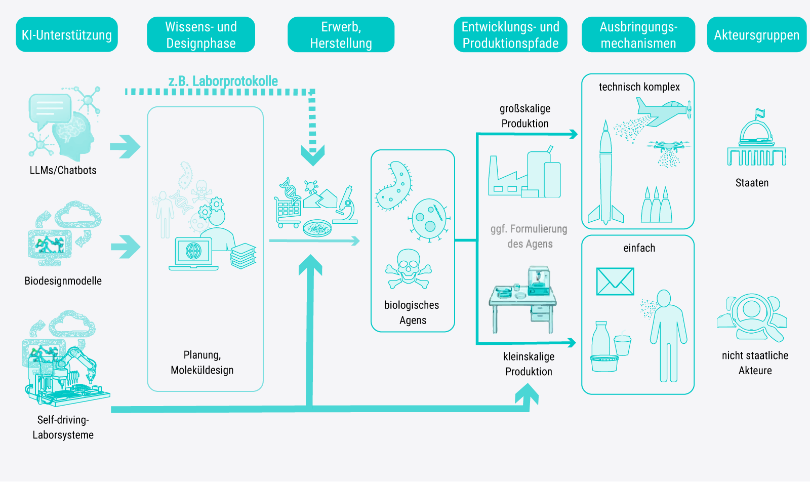 Die Abbildung zeigt schematisch die M&ouml;glichkeiten der KI-Unterst&uuml;tzung durch LLMs, Biodesignmodelle und Self-driving-Laborsysteme f&uuml;r verschiedene Schritte, die zur Herstellung von Biowaffen notwendig sind, von der Planungs- und Designphase &uuml;ber die Herstellung biologischer Agenzien bis hin zu deren kleinskaligen oder gro&szlig;skaligen Produktion und der Kombination mit technisch komplexen oder einfachen Ausbringungsmechanismen. Technisch komplexe Biowaffensysteme werden dabei im Zusammenhang mit Staaten, solche mit einfachen Ausbringungsmechanismen mit nicht staatlichen Akteuren dargestellt. Die KI-M&ouml;glichkeiten und ihr potenzieller Einfluss auf die dargestellten Schritte werden im Haupttext unter Verweis auf die Abbildung erl&auml;utert.