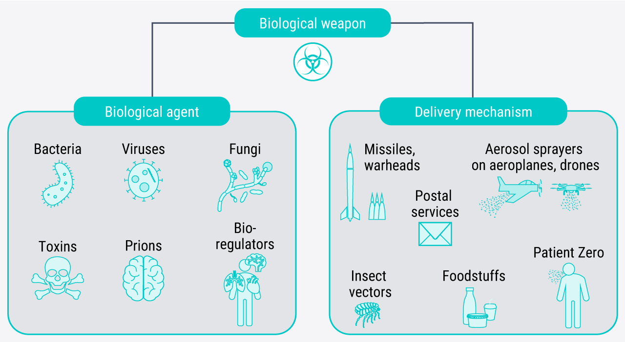 This schematic diagram shows that biological weapons consist of a biological agent and a delivery mechanism. Examples of possible agents and delivery mechanisms are also shown. Biological agents encompass bacteria, viruses, fungi, toxins, prions and bioregulators. Examples of delivery mechanisms include missiles and warheads, aerosol sprayers on aeroplanes and drones, insect vectors, postal services, foodstuffs, and deliberately self-infected attackers ('Patient Zero').