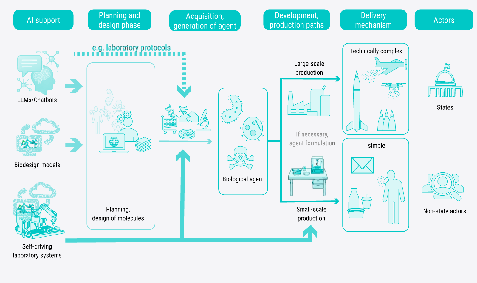 This figure schematically illustrates how LLMs (large language models), biodesign models and self-driving laboratory systems could support various stages of biological weapons development. These stages include the planning and design phase, the isolation or generation of biological agents, their small- or large-scale production, and their small- or large-scale production and integration with simple or complex delivery mechanisms. Technically complex bioweapon systems are depicted in the context of states, while those with simple delivery mechanisms are associated with non-state actors. The AI capabilities and their potential influence on the depicted steps are explained in the main text with reference to the figure.