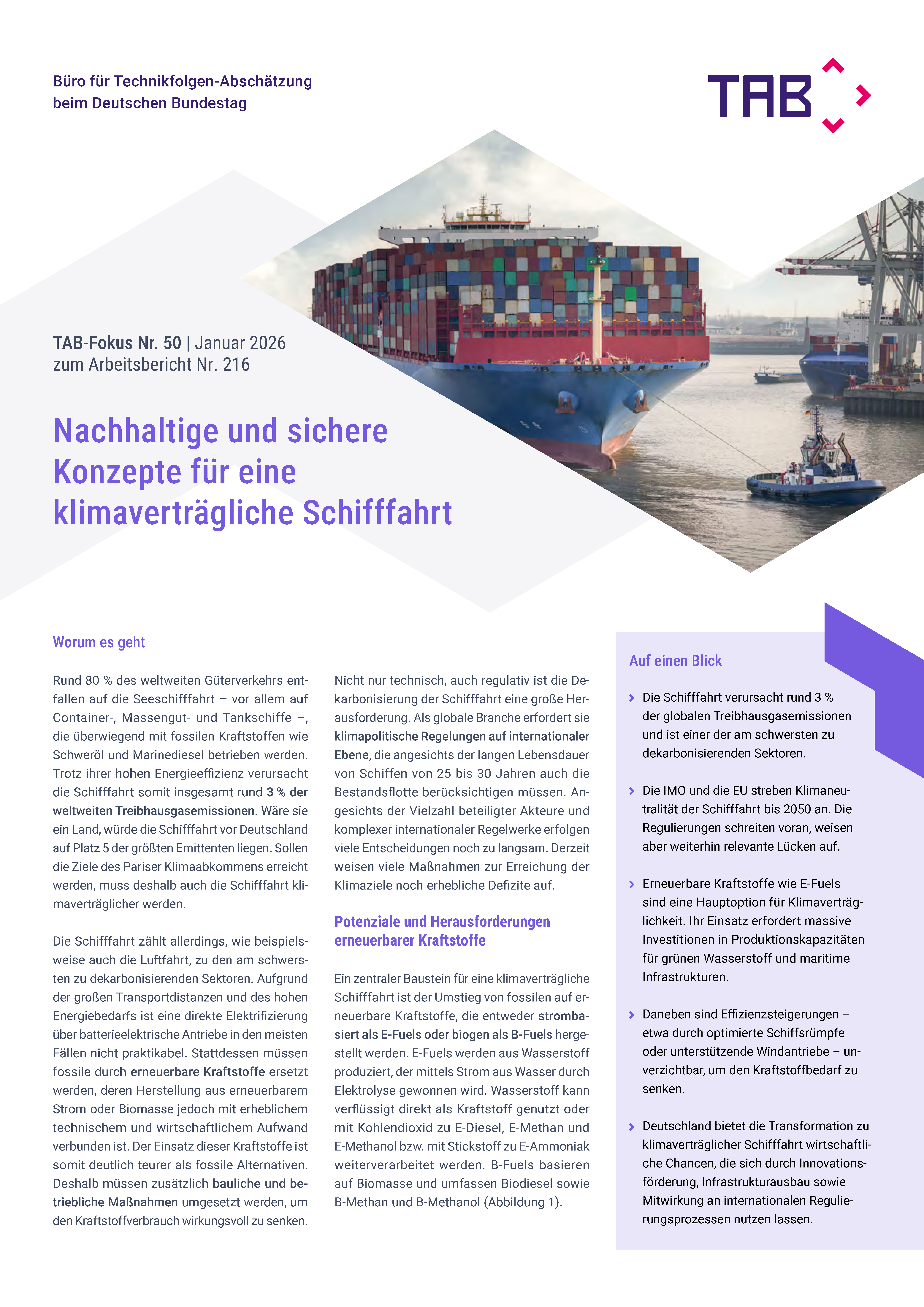 Cover: TAB-Fokus Nr. 49 Stand und Perspektiven der Telemedizin