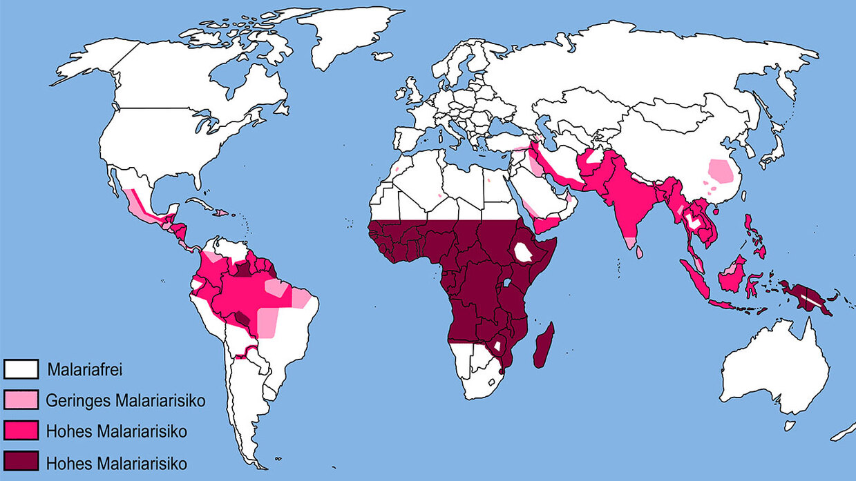 Weltkarte zu Risiko einer Malariainfektion