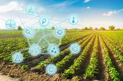 Symbolbild Digitalisierung der Landwirtschaft