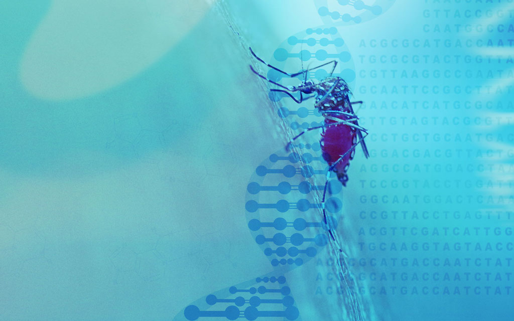 Hintergrundbild: Moskito auf DNA-Helix, Genome Editing-Technologie (CRISPR-Cas9) zur Kontrolle von Mückenpopulationen (TAB-Projektbild Gene-Drives)