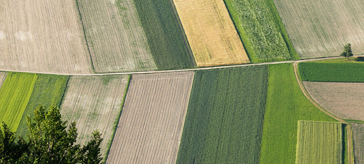 Luftaufnahme von Ackerland und unterschiedlich bepflanzter Felder