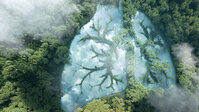 naturgemäßer waldumbau, lunge, klimawandel