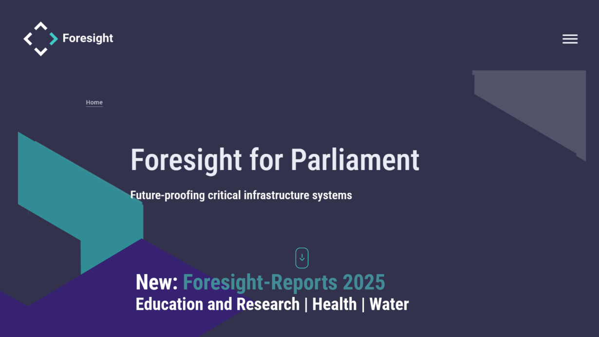 Screenshot Microsite Foresight Report 2025 (translated with Google )