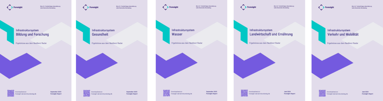 TAB Foresight-Berichte zu Infrastrukturthemen: Bildung, Gesundheit, Wasser, Landwirtschaft, Verkehr.