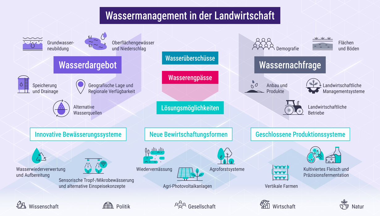 Infographic on water management in agriculture with water supply, demand and solutions.